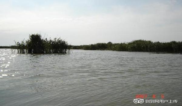 三角洲行动科技网（三角洲行动科技网哪个最好用？）