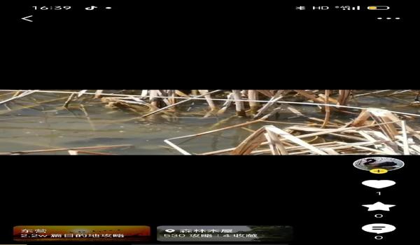 三角洲行动怎么自行下载更新包(给我一个《三角洲行动》更新包的下载链接) 三角洲行动怎么自行下载更新包(给我一个《三角洲行动》更新包的下载链接)